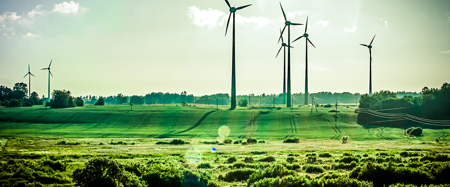 Environmental Studies, major or minor at Connecticut College