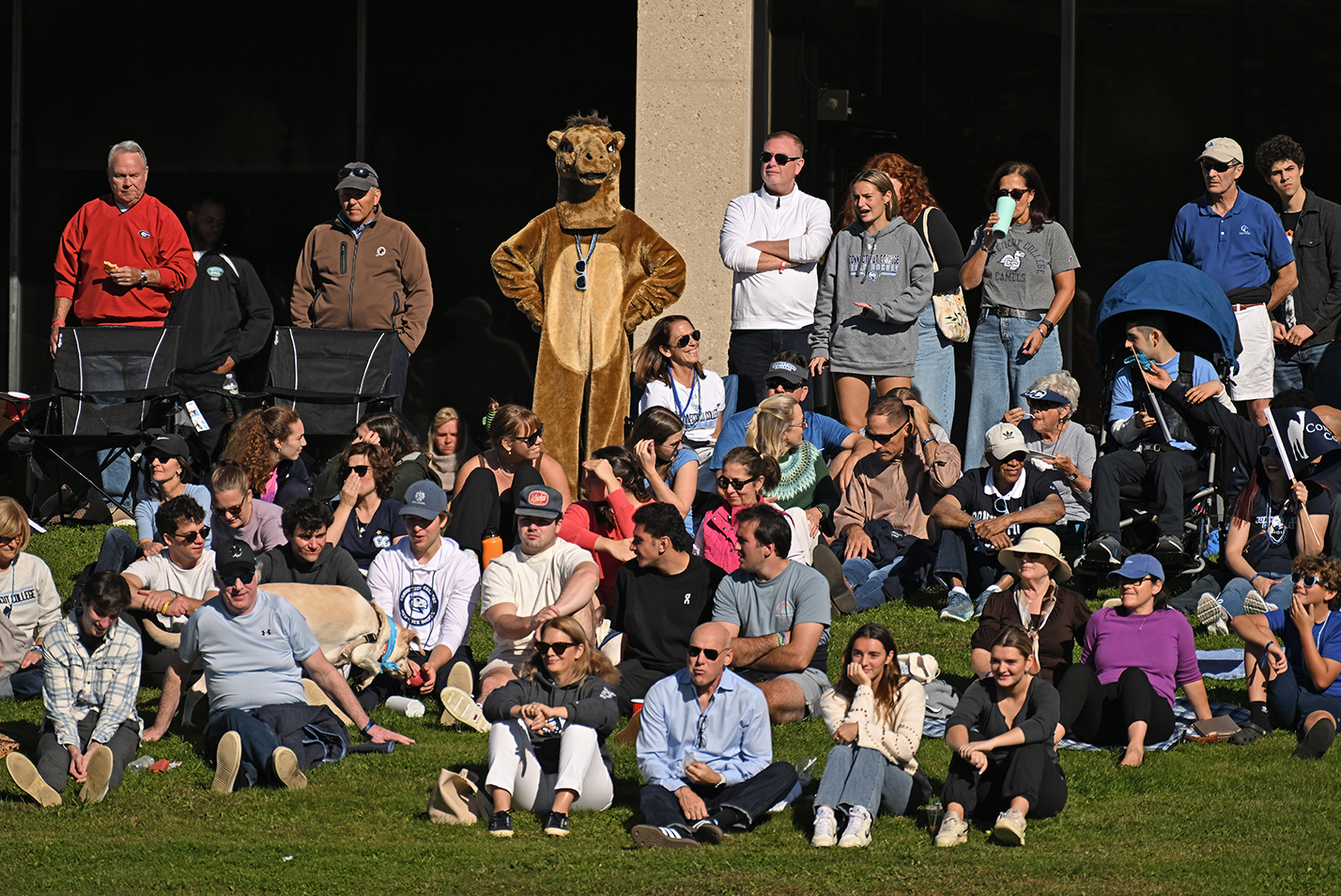 A crowd of fans are joined by a camel mascot watching a soccer game.